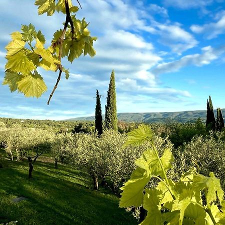 Bed and Breakfast Provence Km28 Gordes Esterno foto