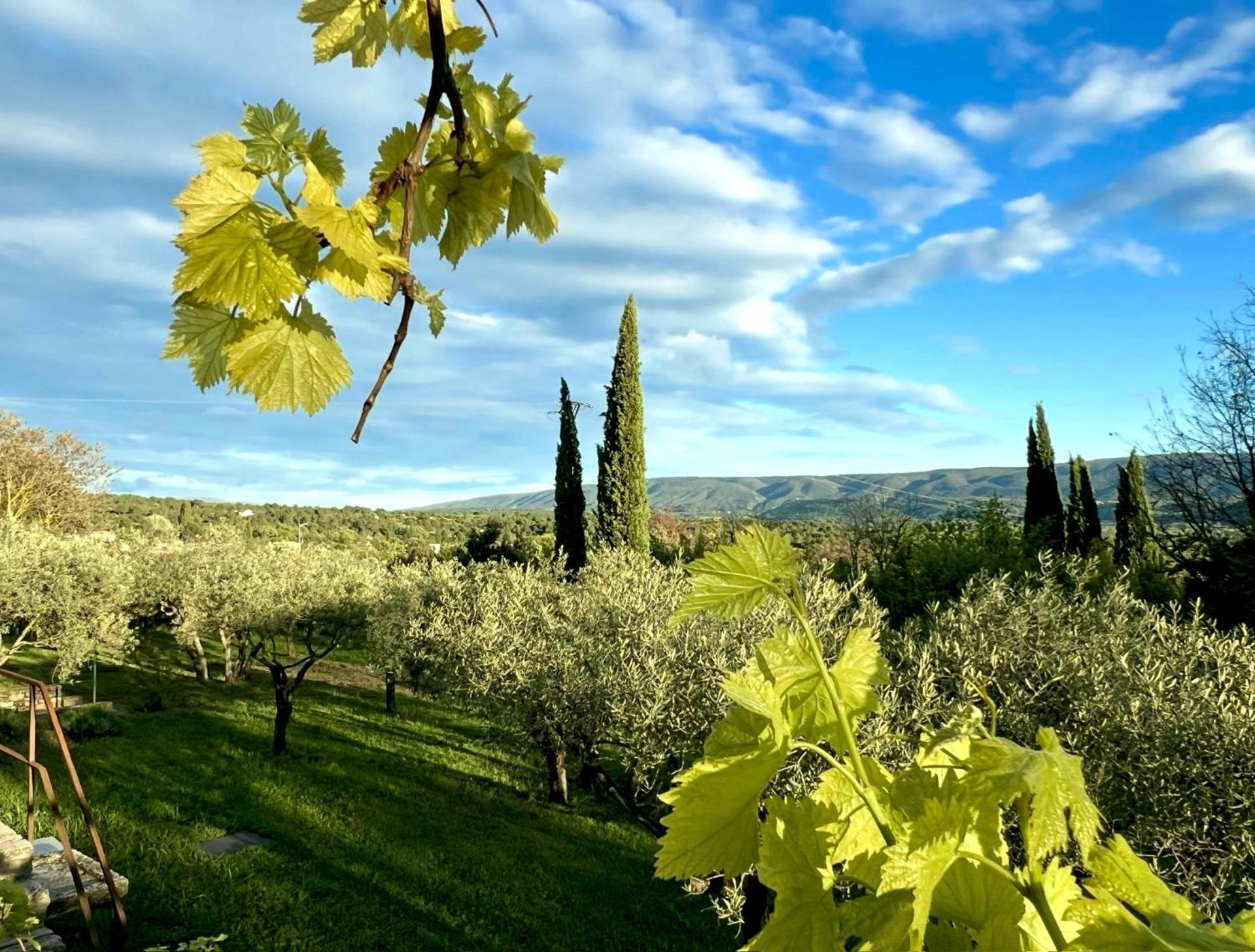 Bed and Breakfast Provence Km28 Gordes Esterno foto