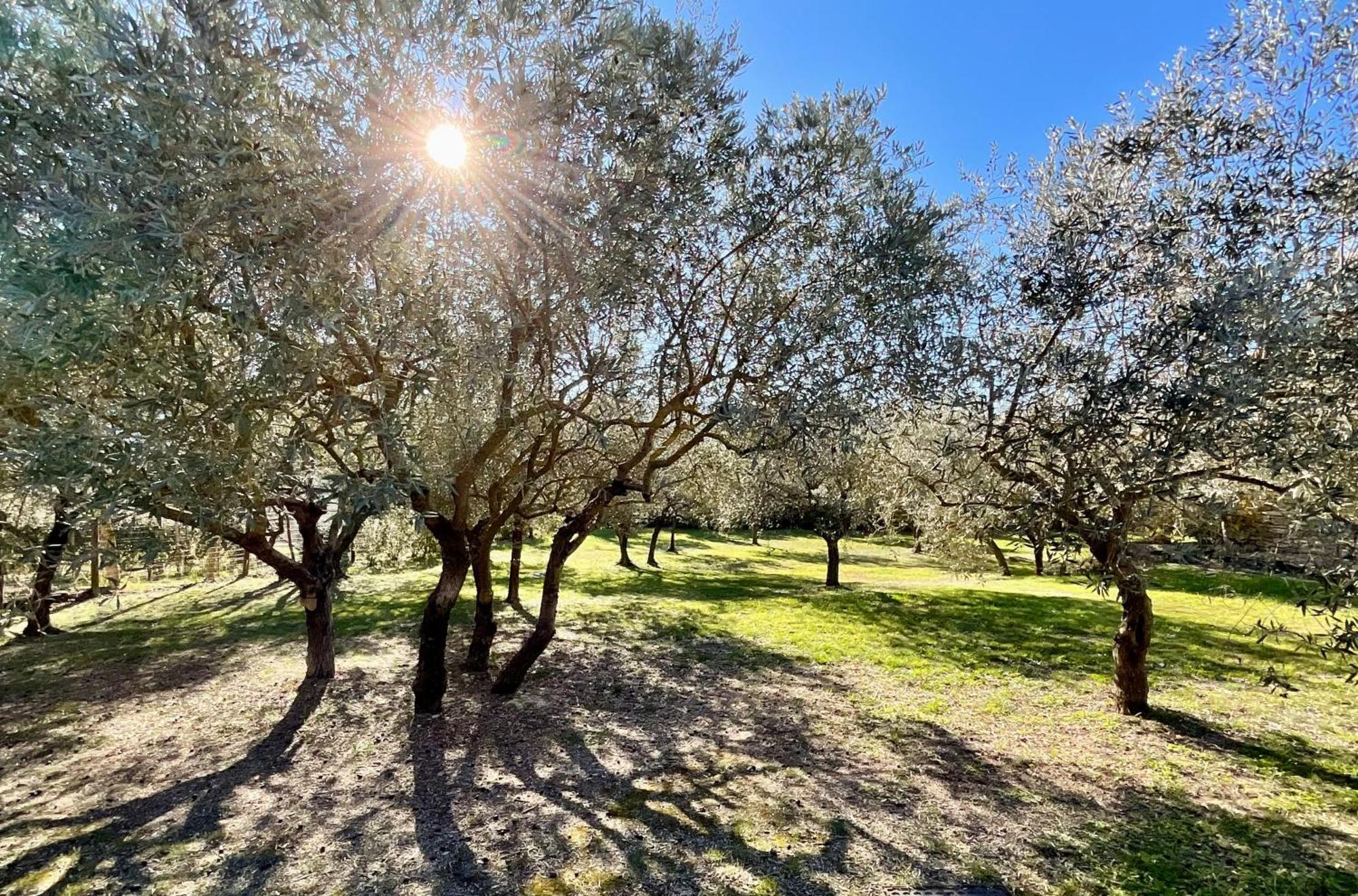 Bed and Breakfast Provence Km28 Gordes Esterno foto