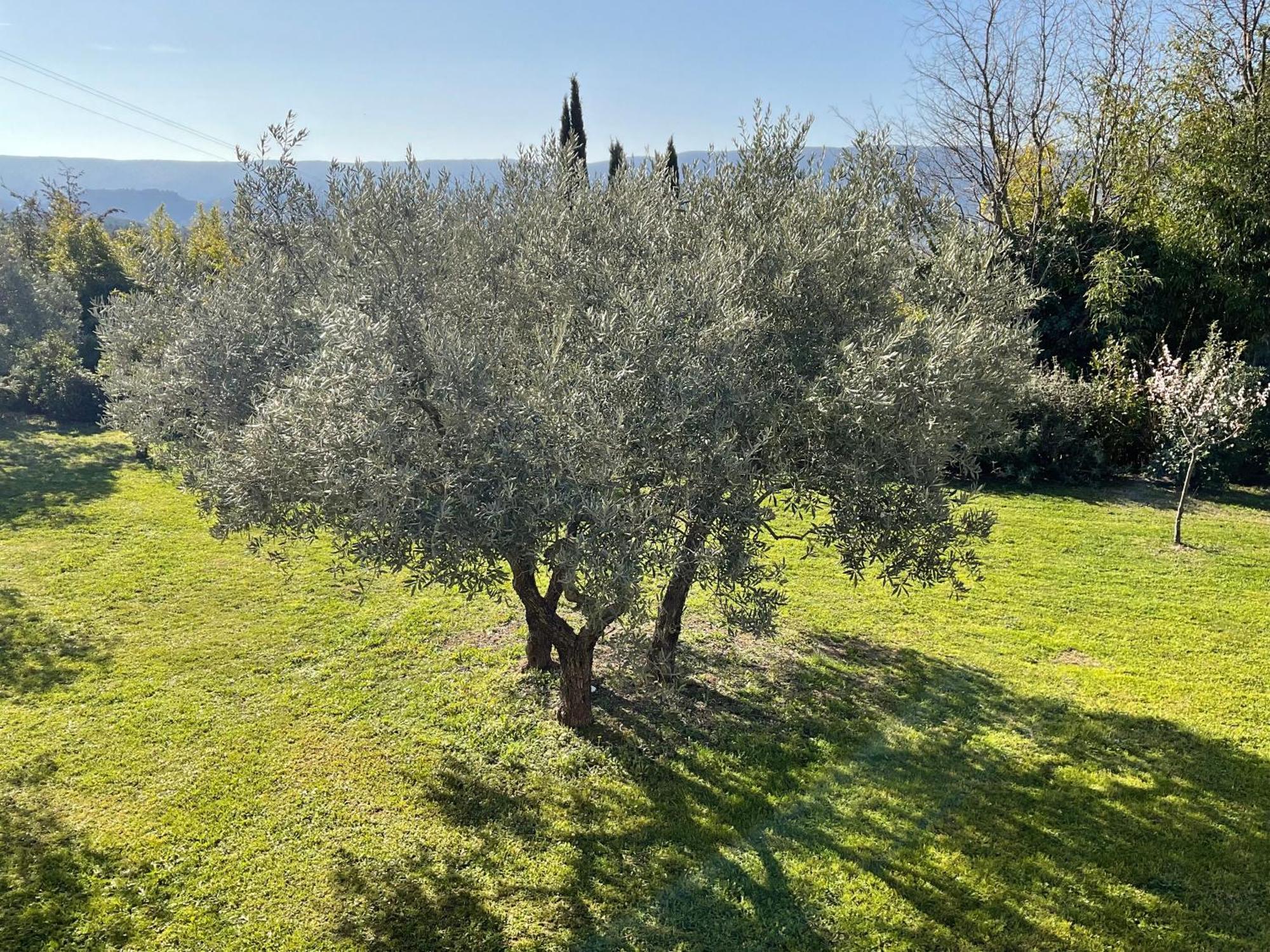 Bed and Breakfast Provence Km28 Gordes Esterno foto