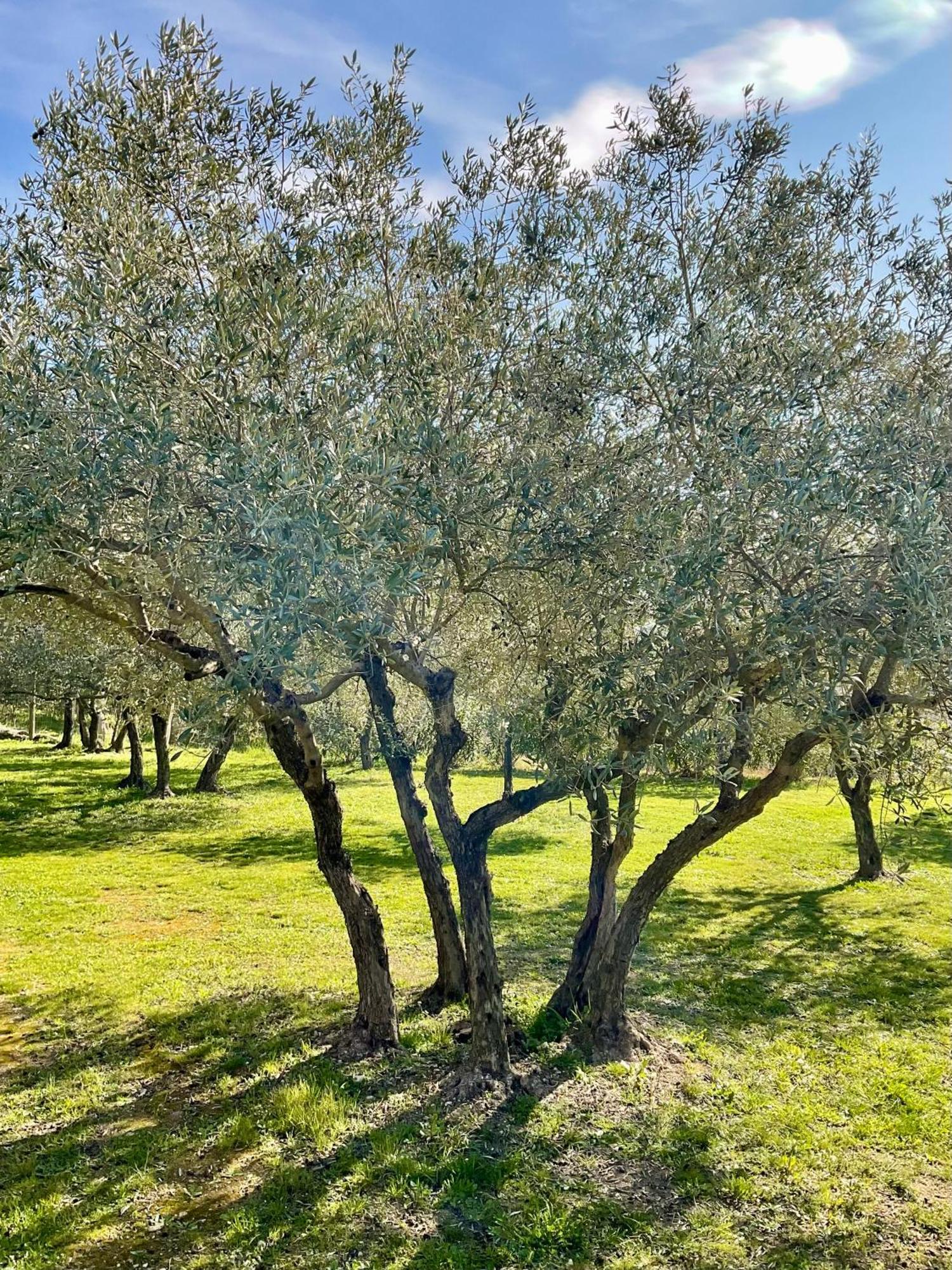 Bed and Breakfast Provence Km28 Gordes Esterno foto